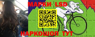 прущие грибы Можга
