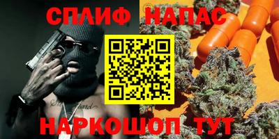 прущие грибы Можга