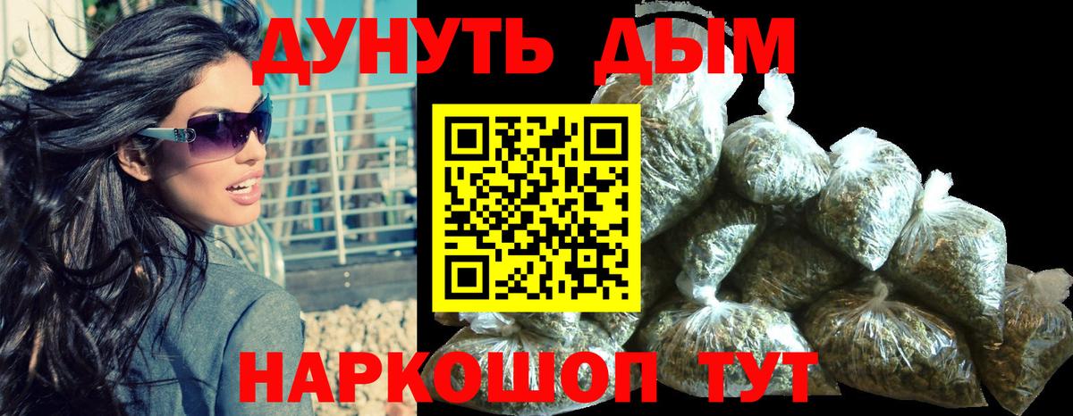 Бошки марихуана сатива  Канабис конопля  Конопля план  Тара  Вход с VPN  Конопля SATIVA & INDICA 
