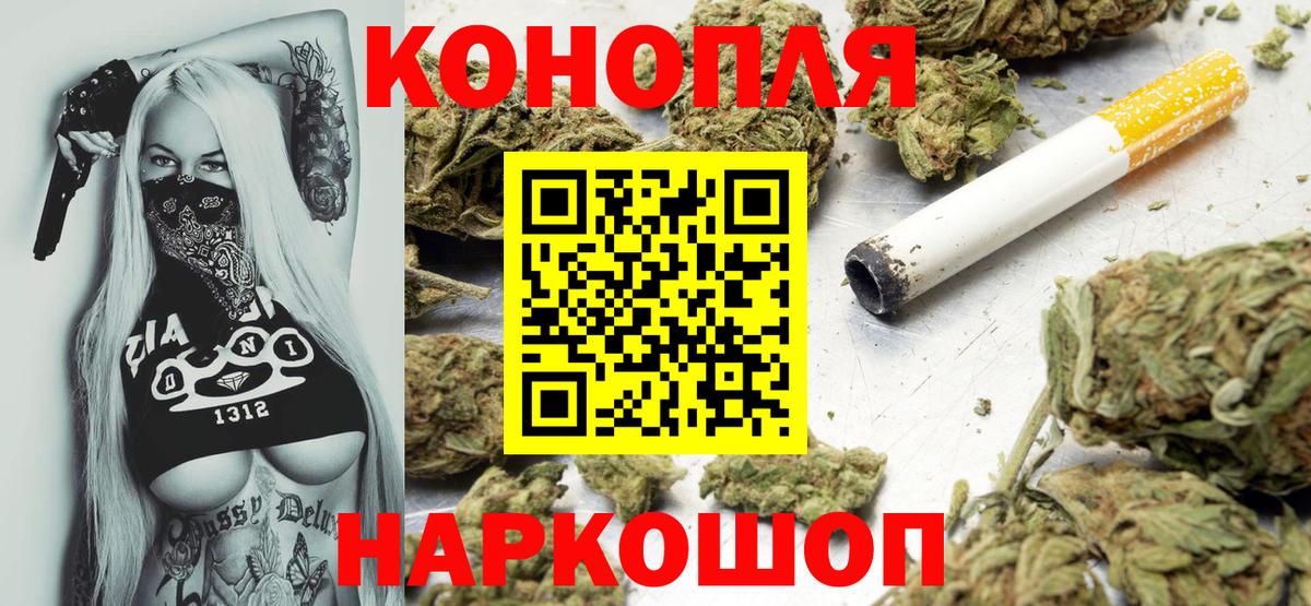 Бошки Шишки план Тара